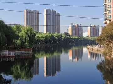 蜈蚣的养殖技术及市场前景，蜈蚣养殖技术及场地要求